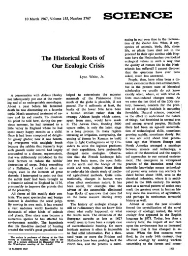 21dc6c93d5ec6614651e652fb594505a