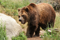 197205754_5820512fea_m