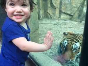 hannah-and-the-tiger