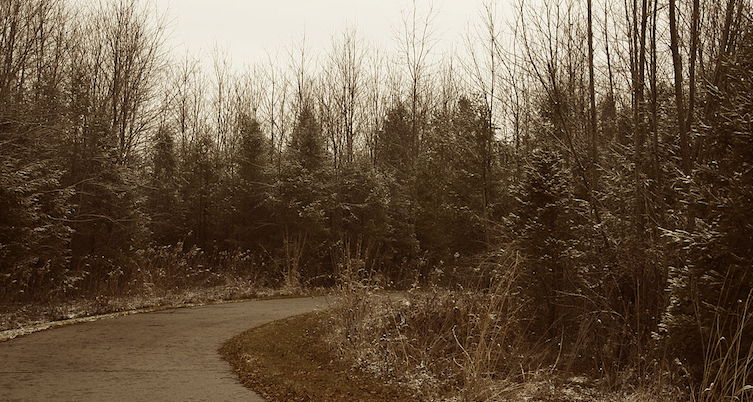 Prophetstown State Park, Indiana. By Anne Hornyak.