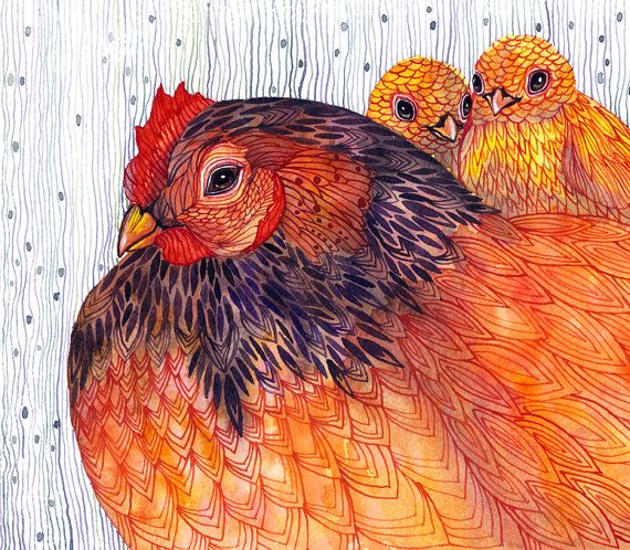 gallina+con+pollitos